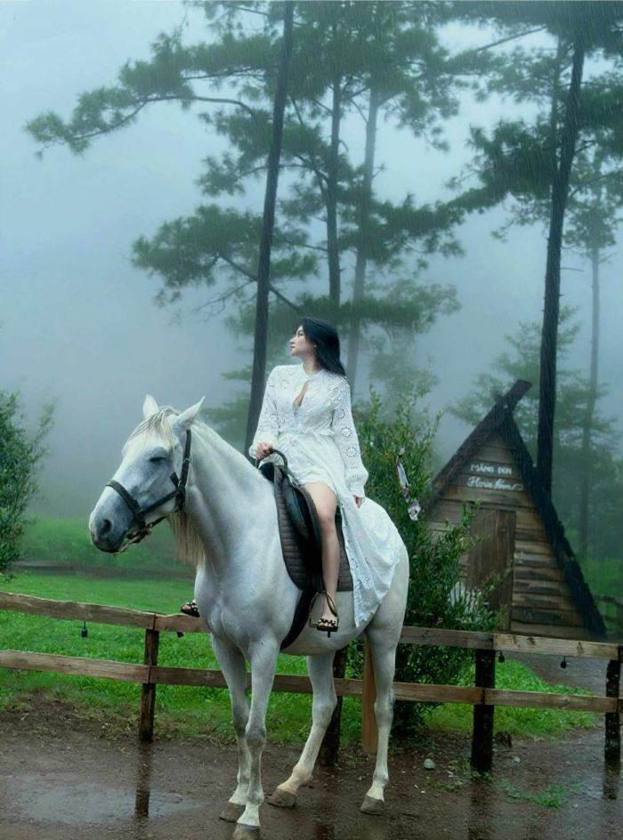 kinh nghiệm du lịch Măng Đen tháng 9 Horse Farm Măng Đen
