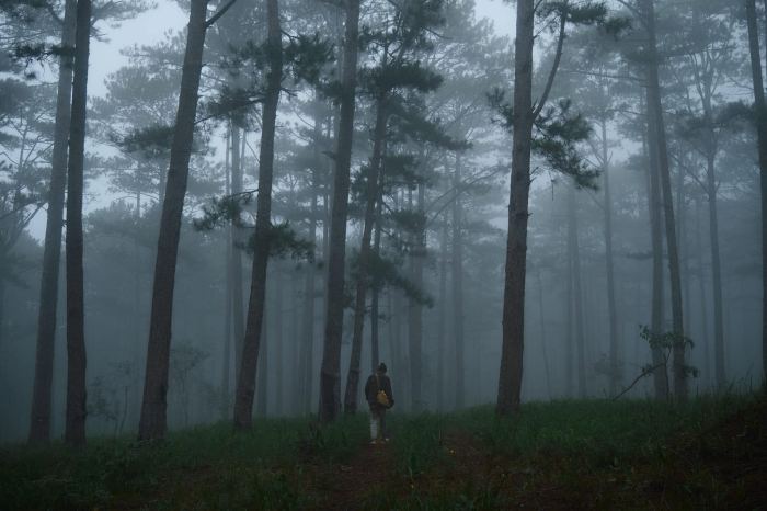 địa điểm hái nấm ở Đà Lạt địa điểm hái nấm ở Đà Lạt