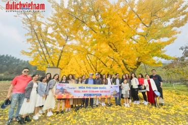 Chỉ Từ 17tr5: Trọn Gói Hành Trình Đón Mùa Lá Đỏ Hàn Quốc 6N5Đ Từ Hà Nội
