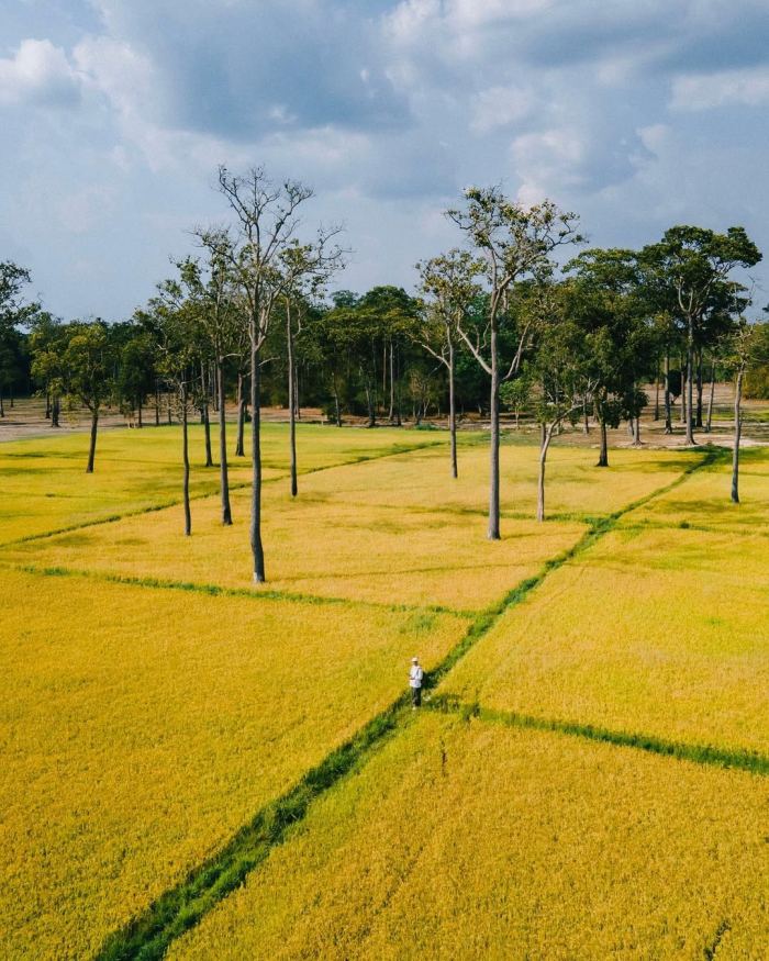  trải nghiệm ở VQG Cát Tiên