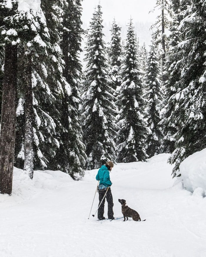 Chinh phục khu trượt tuyết Whistler Canada