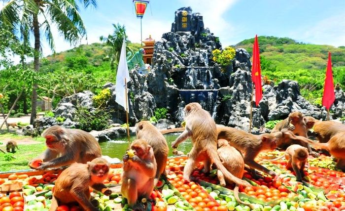 Review travel experience Nha Trang Monkey Island in extreme detail