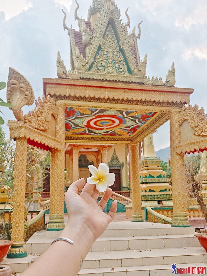 Be ecstatic at the "sweet" photo set when coming to famous tourist spots in An Giang!
