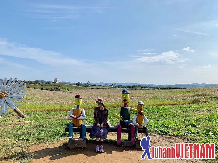 Say đắm trước vẻ đẹp của đồi cỏ hồng tại Anseong Hàn Quốc