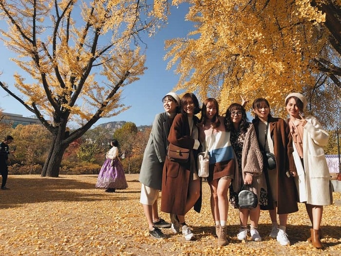 Du lịch Hàn Quốc tháng 10 nên đi đâu?