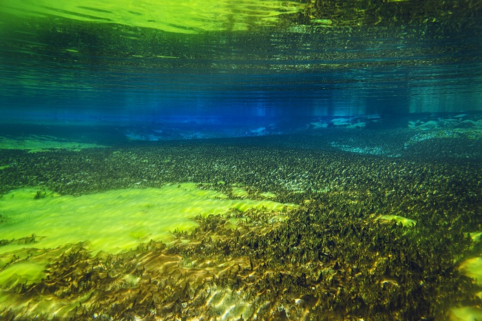 Vẻ đẹp cuốn hút của hồ tự nhiên Blue Lake New Zealand