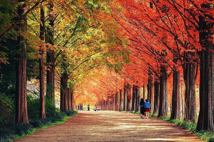 Top 5 thị trấn Hàn Quốc xinh đẹp nhất định phải tới 1 lần cho biết