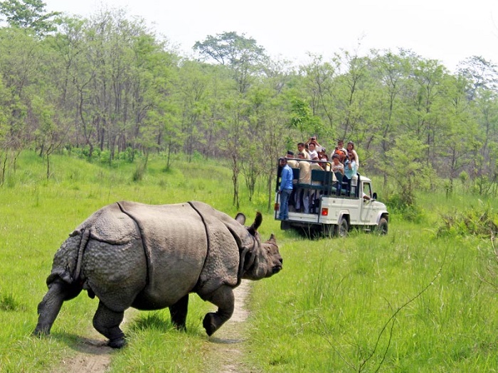 Công viên quốc gia Chitwan National Park -  Địa điểm du lịch nổi tiếng ở Nepal