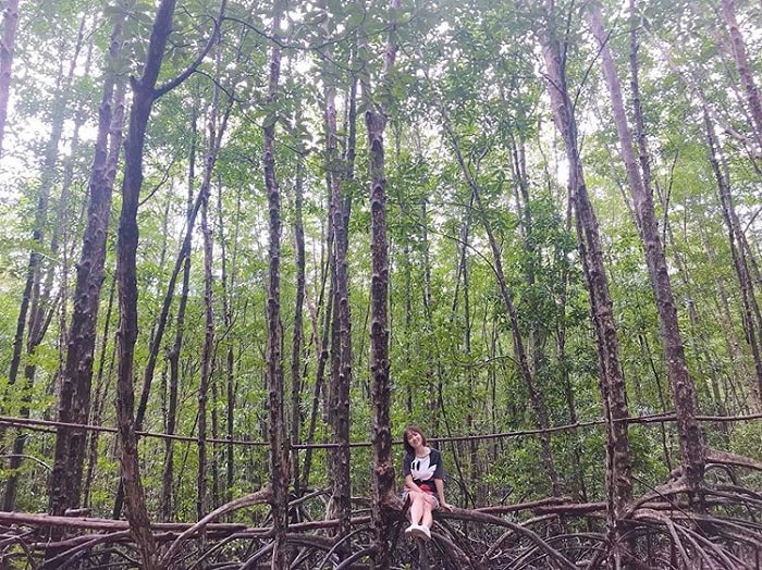 khung cảnh hoang sơ tại rừng ngập mặn Cà Mau