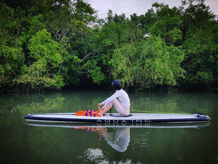 chèo thuyền kayak - hoạt động thú vị tại rừng ngập mặn Cà Mau