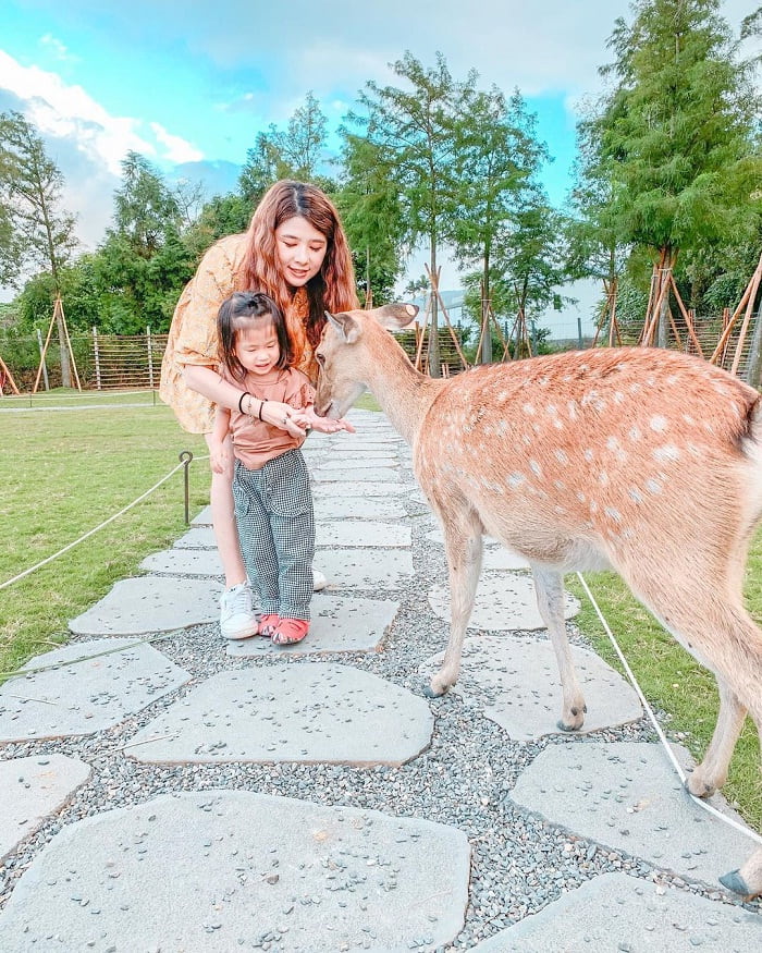 các bé nhỏ với huơu tại Bambi Land Đài Loan 