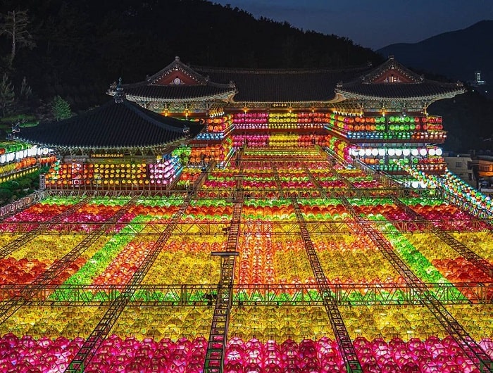 chùa ở Busan - đèn lồng rực rỡ ở chùa Samgwangsa