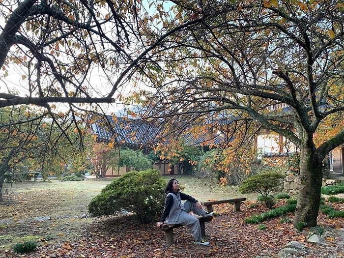 chùa ở Busan - mùa thu ở Seonamsa