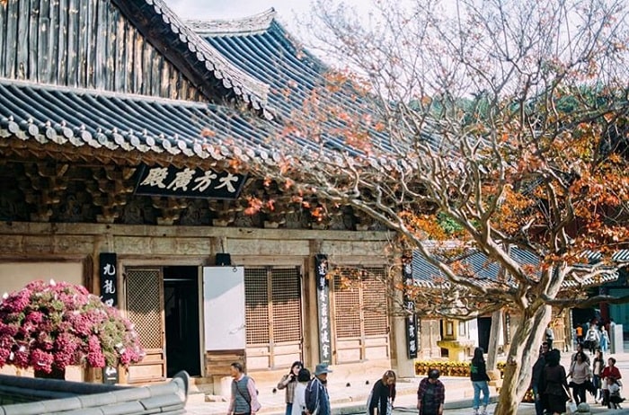 chùa ở Busan - cổ kính ở Tongdosa