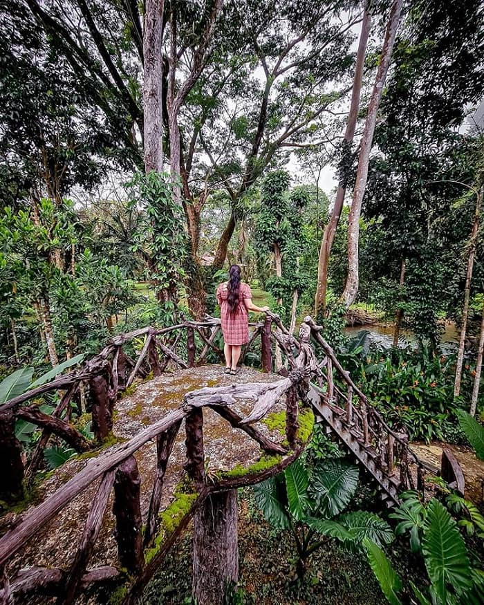 khu rừng nhiệt đới - điểm đến thú vị tại công viên quốc gia Khao Sok