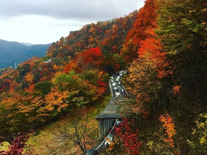 cung đường 48 khúc cua ở Nhật - đến vào mùa thu để ngắm cảnh đẹp