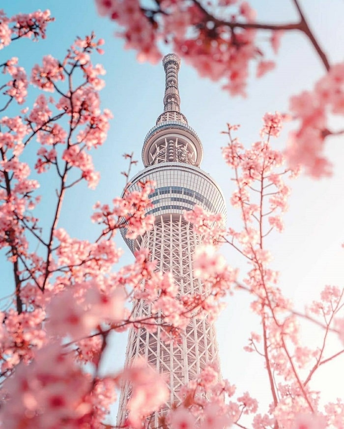 điểm tham quan ở Tokyo - Tokyo Sky Tree