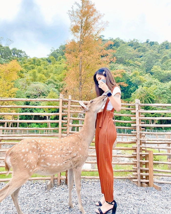 chơi với hươu tại Bambi Land Đài Loan