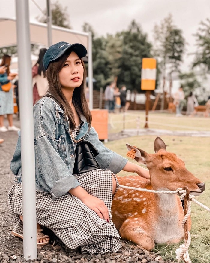 sống ảo tại Bambi Land Đài Loan 