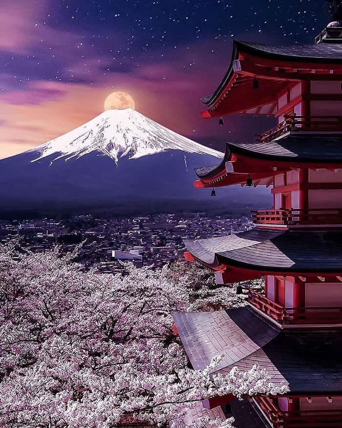 Khung cảnh ban đêm tại chùa Chureito Nhật Bản mùa hoa anh đào nở