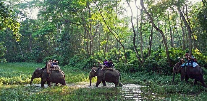 Kinh nghiệm du lịch Nepal nên đi đâu? Khu vườn quốc gia Chitwan National Park - Điểm du lịch hấp dẫn ở Nepal