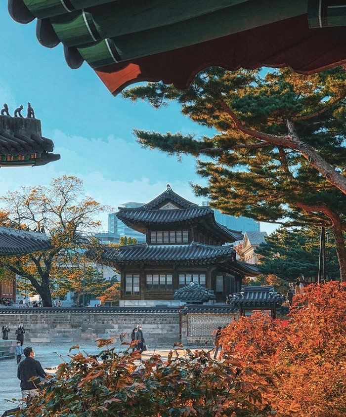 12 lễ hội ở Seoul Hàn Quốc đặc sắc cho bạn nhiều trải nghiệm thú vị
