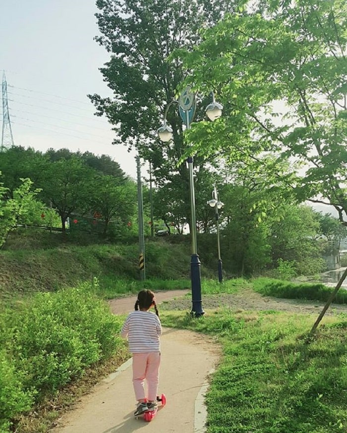 lý do nên du lịch Daegu - công viên Palgongsan