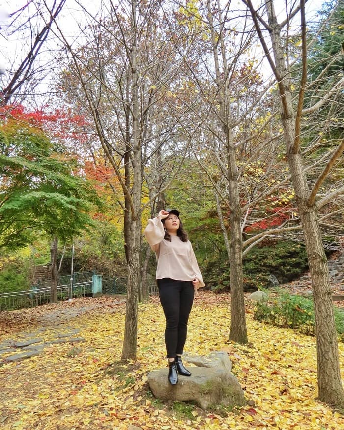 lý do nên du lịch Daegu - đi bộ dọc công viên Apsan