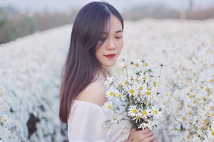 những vườn cúc hoạ mi đẹp ở Hà Nội - tạo dáng bên hoa nhẹ nhàng