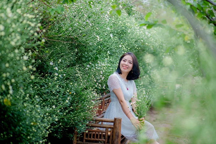 những vườn cúc hoạ mi đẹp ở Hà Nội - vườn Hoa Phương Linh