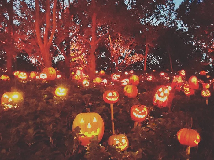 phong tục Halloween ở các nước trên thế giới tại Nhật