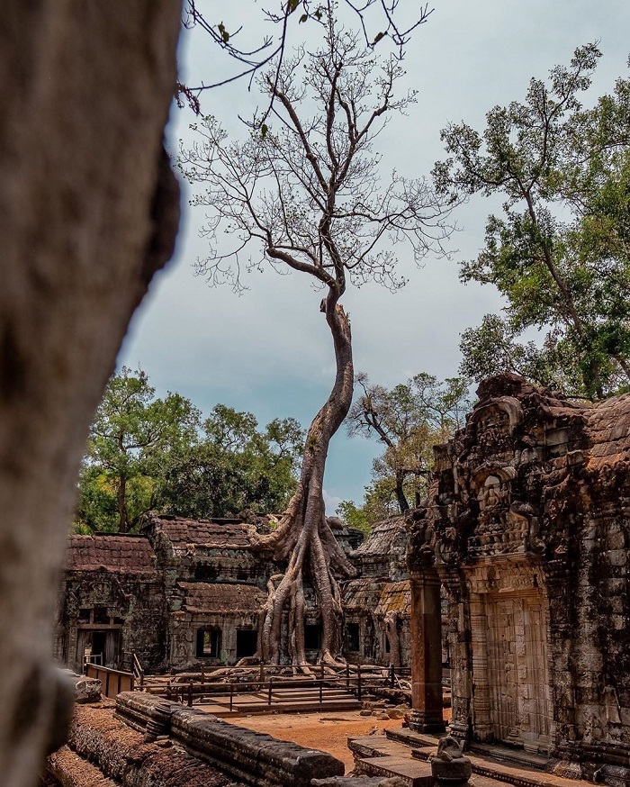 Sự bí ẩn của đền Ta Prohm Campuchia