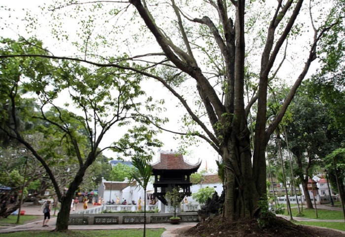 The meaning of the Bodhi tree in One Pillar Pagoda