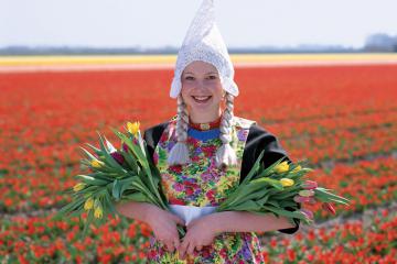 Những địa điểm ngắm hoa tulip ở Hà Lan đẹp tựa thiên đường 