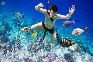 Kinh nghiệm lặn biển ngắm san hô ở Phú Quốc đẹp 'quên lối về'