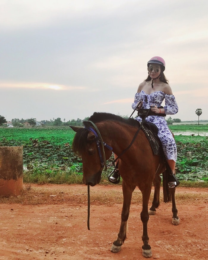 Trải nghiệm cưỡi ngựa tại Siem Reap