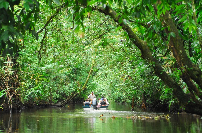 Vườn quốc gia Tortuguero - Du lịch Costa Rica