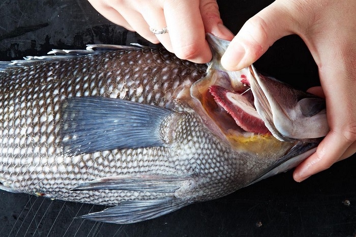Cách chọn hải sản tươi ngon tại các khu chợ ở Phan Thiết 