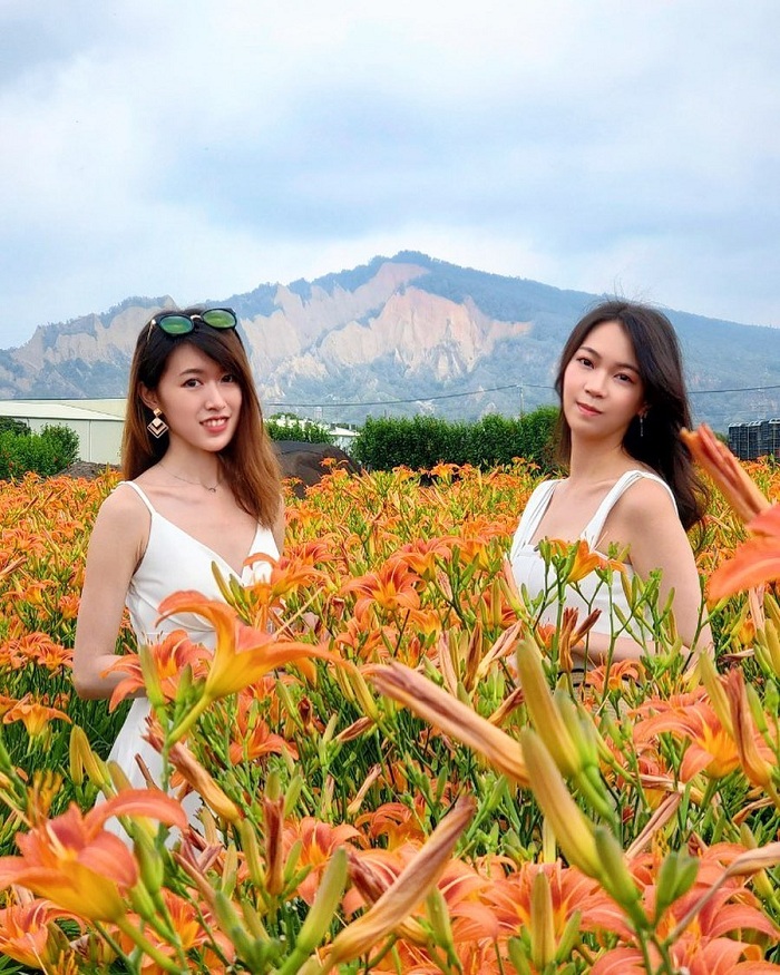 Vẻ đẹp của cánh đồng hoa Chung-she Đài Loan