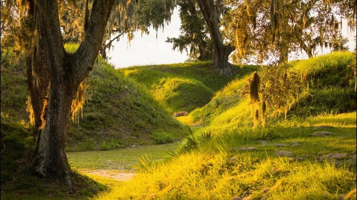  Công viên Bang Fort McAllister thành phố Savannah