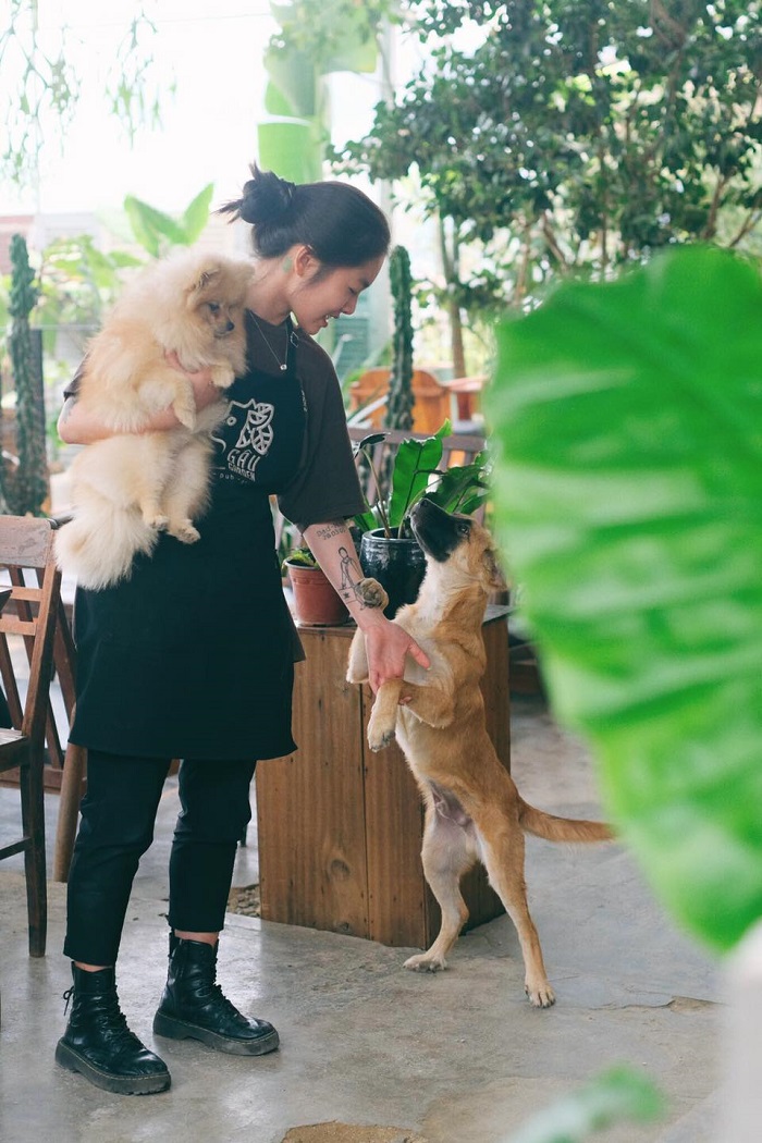 gau-garden-Quán cafe thú cưng ở Đà Lạt