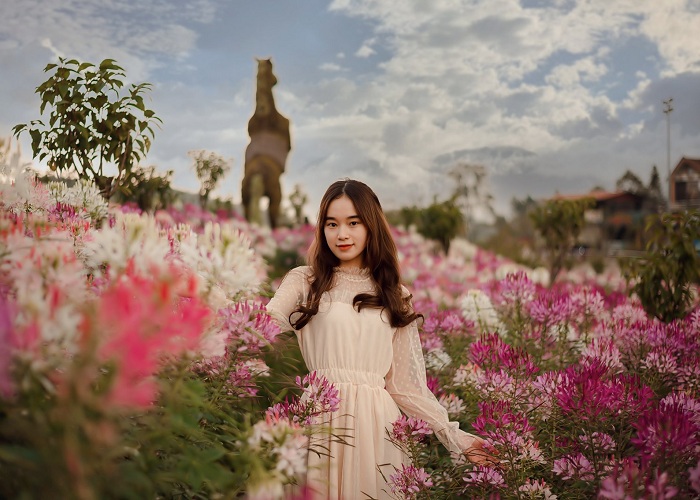 Sun World Fansipan Legend is one of the beautiful flower gardens in Vietnam 