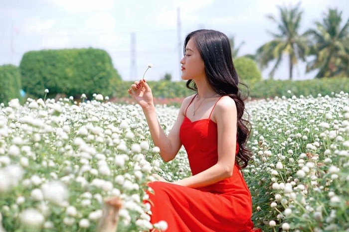 Man Dinh Hong flower field is one of the beautiful flower gardens in Vietnam 