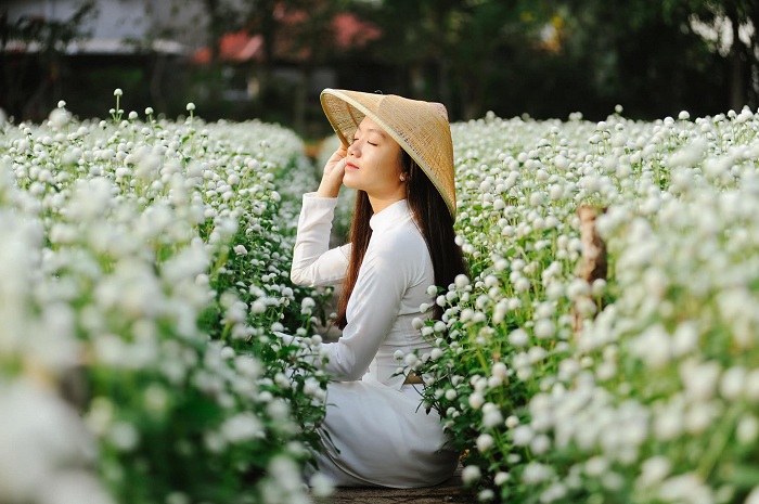 Cánh đồng hoa Mãn Đình Hồng là một trong những vườn hoa đẹp ở Việt Nam 