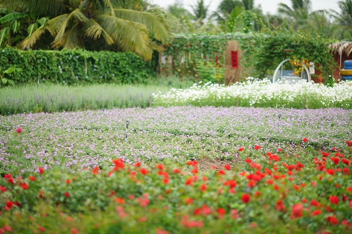 virtual living experience in a beautiful flower garden in Vietnam 