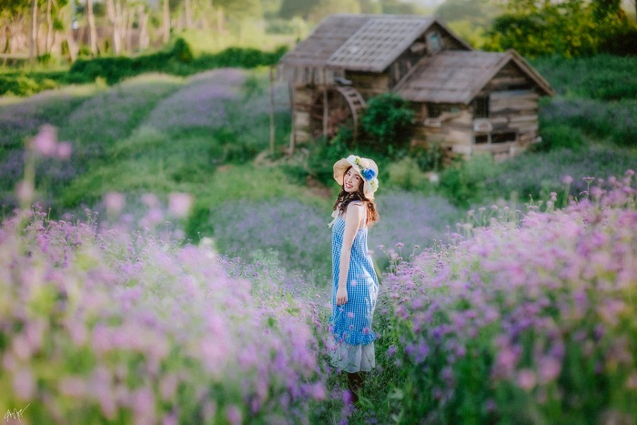 Thảo nguyên hoa Long Biên là một trong những vườn hoa đẹp ở Việt Nam 