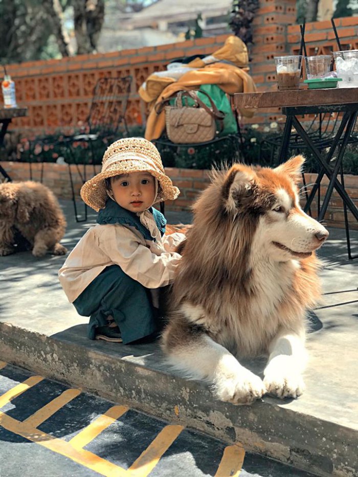 Quán cafe thú cưng ở Đà Lạt-hoiquanchoemeo