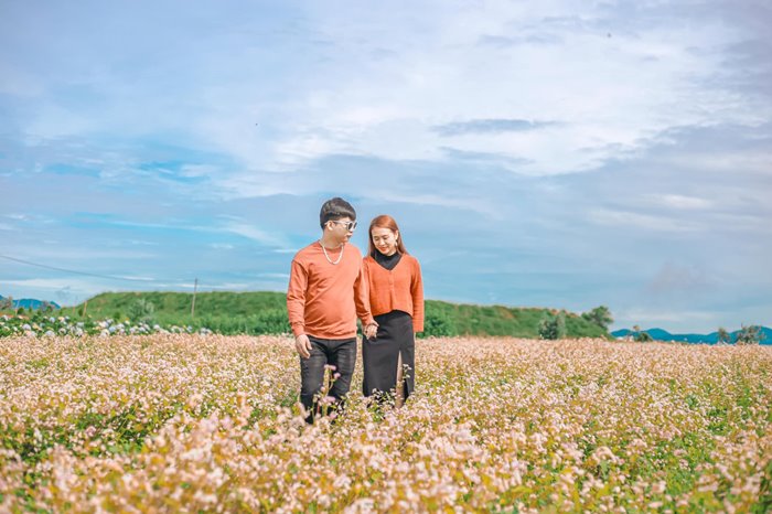 See the buckwheat triangle when traveling to Da Lat in October 