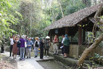 Du lịch rừng Chàng Riệc Tây Ninh khám phá lịch sử và tìm hiểu hệ sinh thái đa dạng   