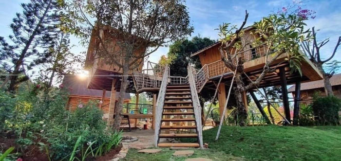 Greenfield Farmstay campsite's unique treehouse 